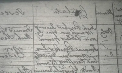 Az anyakönyvi kivonatok jelentősége a családfában történő kutatás során